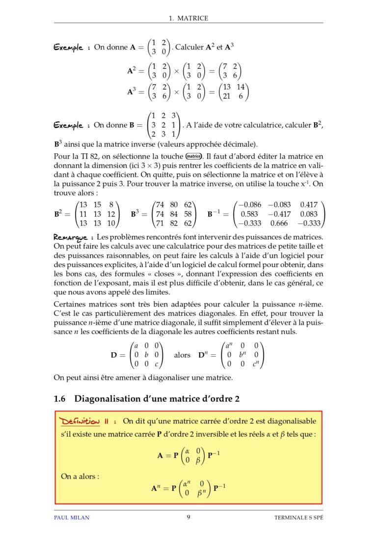 Matrices et suites Maths 1ère S exercices corrigés - Dyrassa