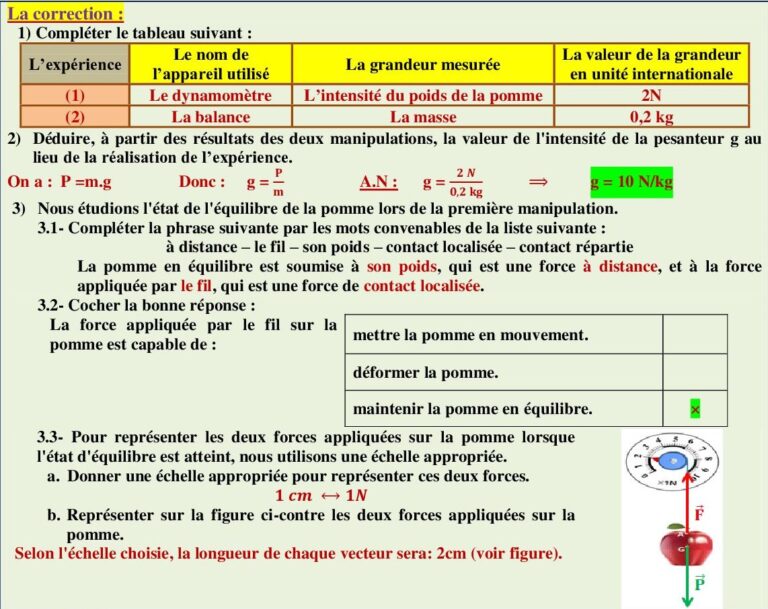 Équilibre D’un Solide Soumis à Deux Forces - Dyrassa