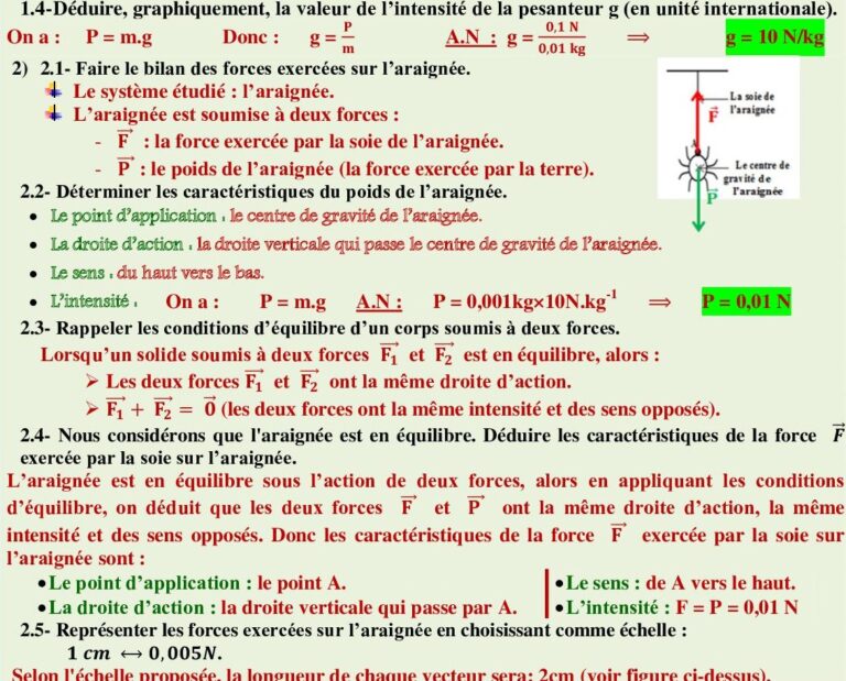 Équilibre D’un Solide Soumis à Deux Forces - Dyrassa