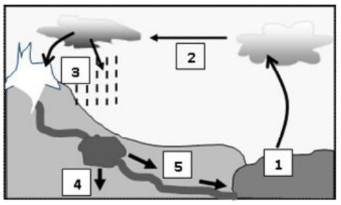 Cycle de l'eau