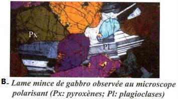 Texture Microlitique Roche La formation des roches magmatiques -Cours