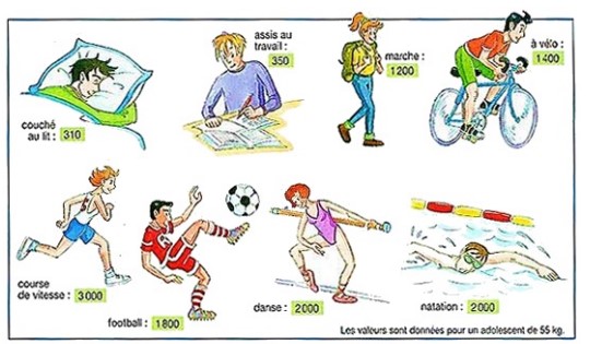 Coût énergétique des activités
